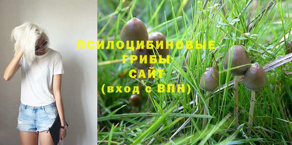 дживик Новокубанск