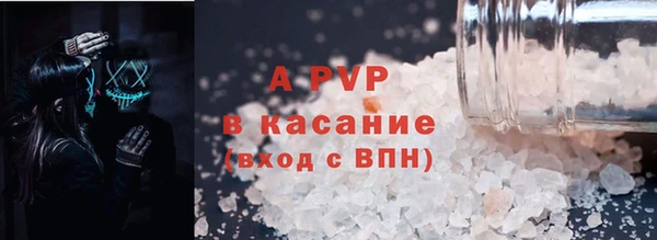 прущие крисы Новозыбков