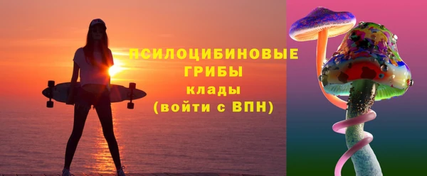 дживик Новокубанск