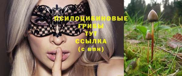 прущие крисы Новозыбков