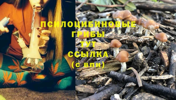 jwh Новодвинск